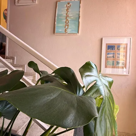 One One World Square ホステル