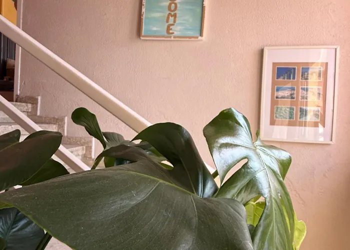 One One World Square Hostel