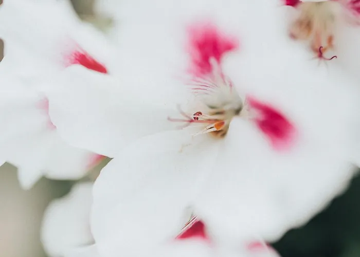 One One World Square Vandrarhem