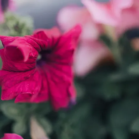 One One World Square *