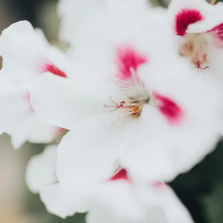 One One World Square Auberge de jeunesse