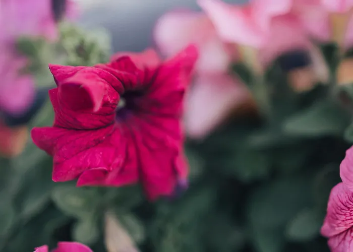 One One World Square *